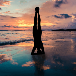 Bioestética Viviana Grando